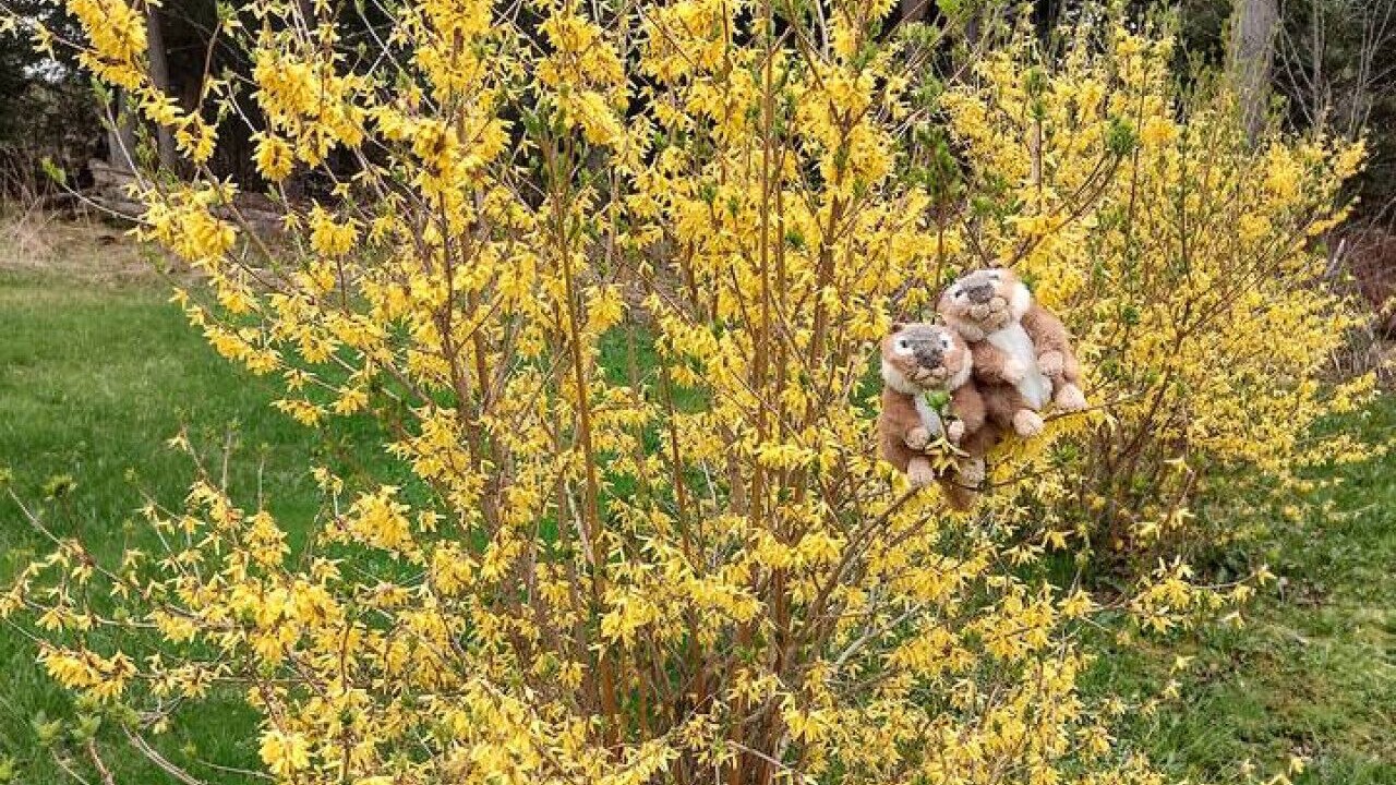 Photo of Others in Hyde Park