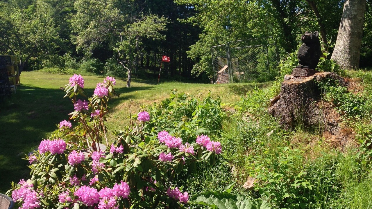 Photo of Others in Somesville