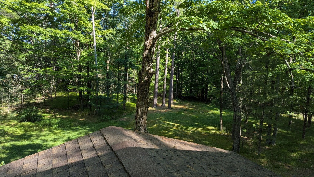 Photo of Outdoor in Bearsville