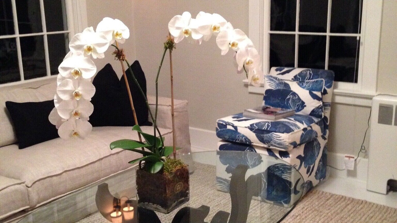 Photo of Livingroom in Pantigo Road Historic District