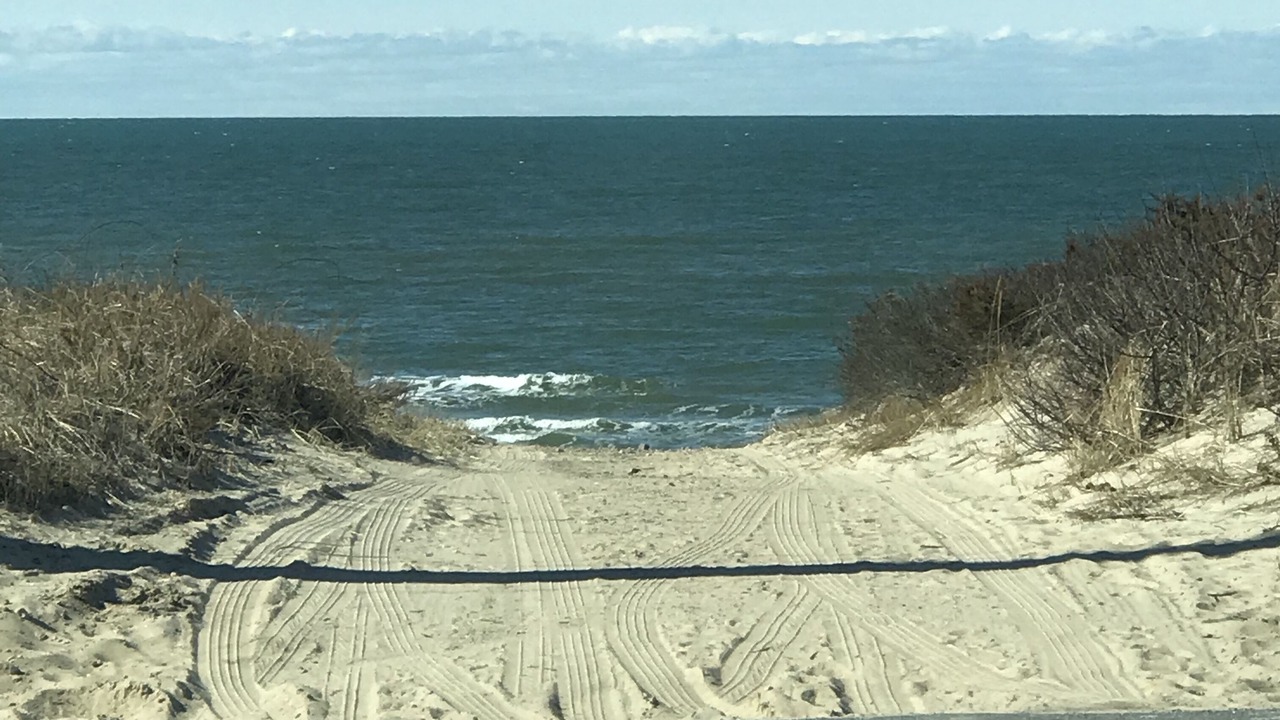 Photo of Others in East Dennis