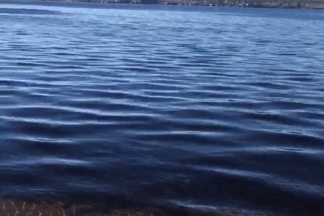 Photo of Outdoor in Center Ossipee