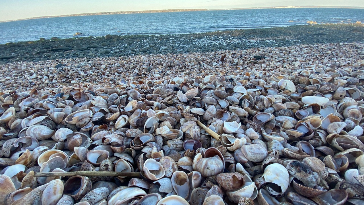 Photo of Others in Portsmouth