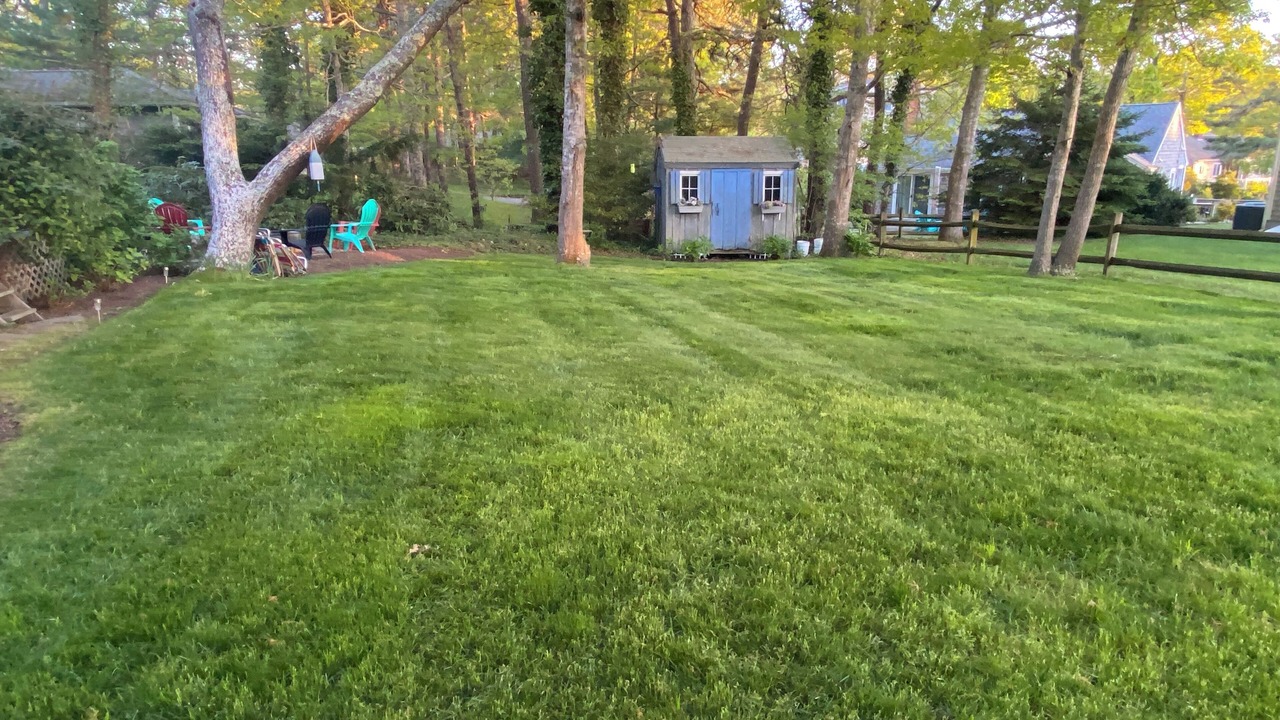 Photo of Others in South Dennis
