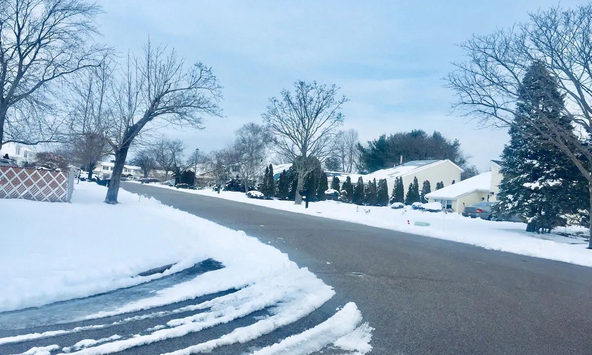 Photo of Outdoor in North Bellport