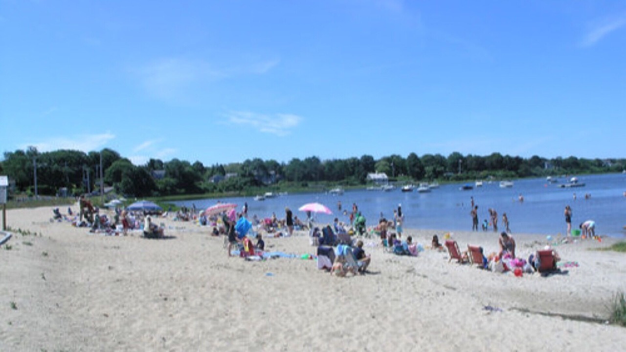 Photo of Others in Chatham