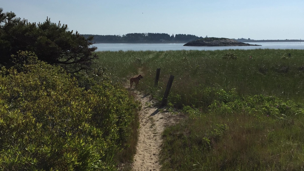 Photo of Others in Phippsburg
