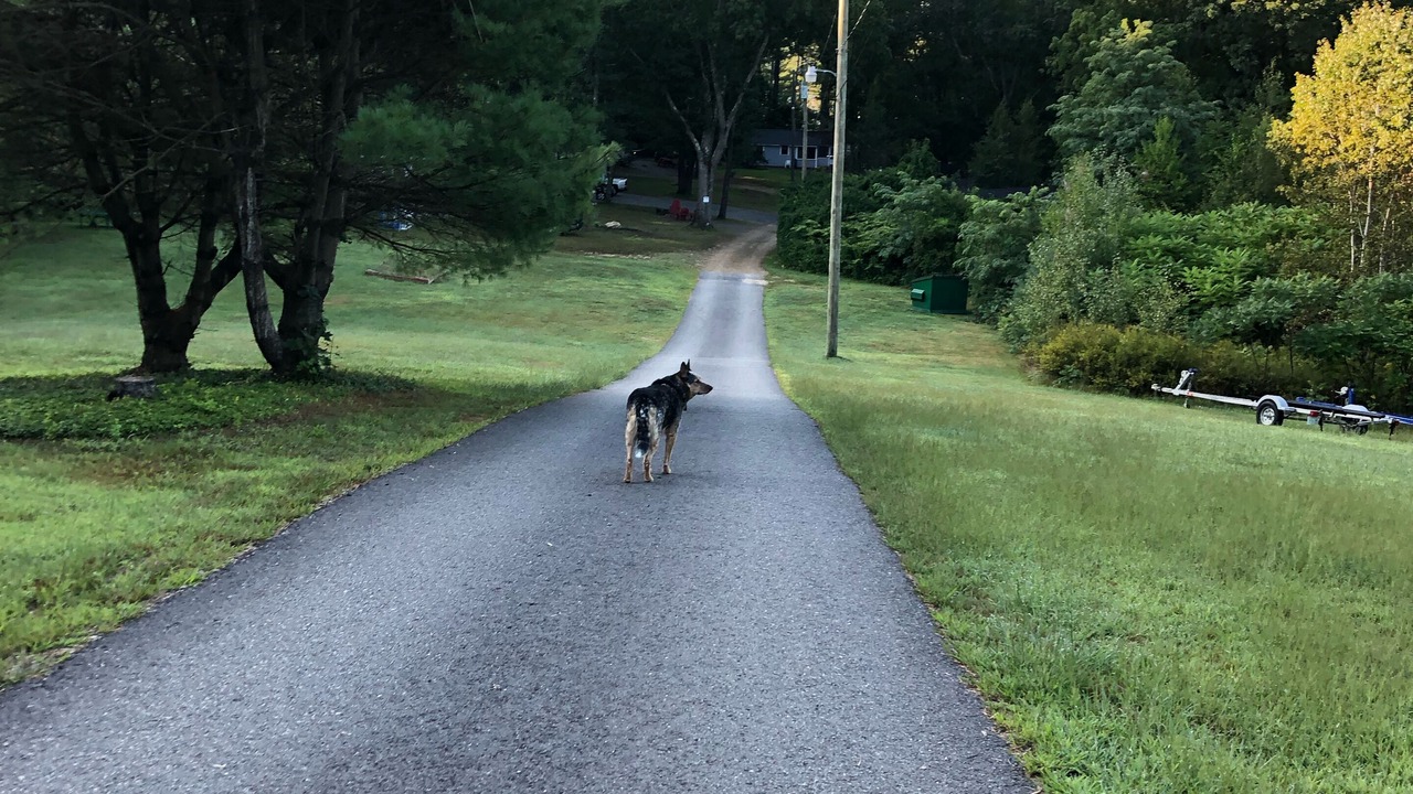 Photo of Outdoor in Lochmere