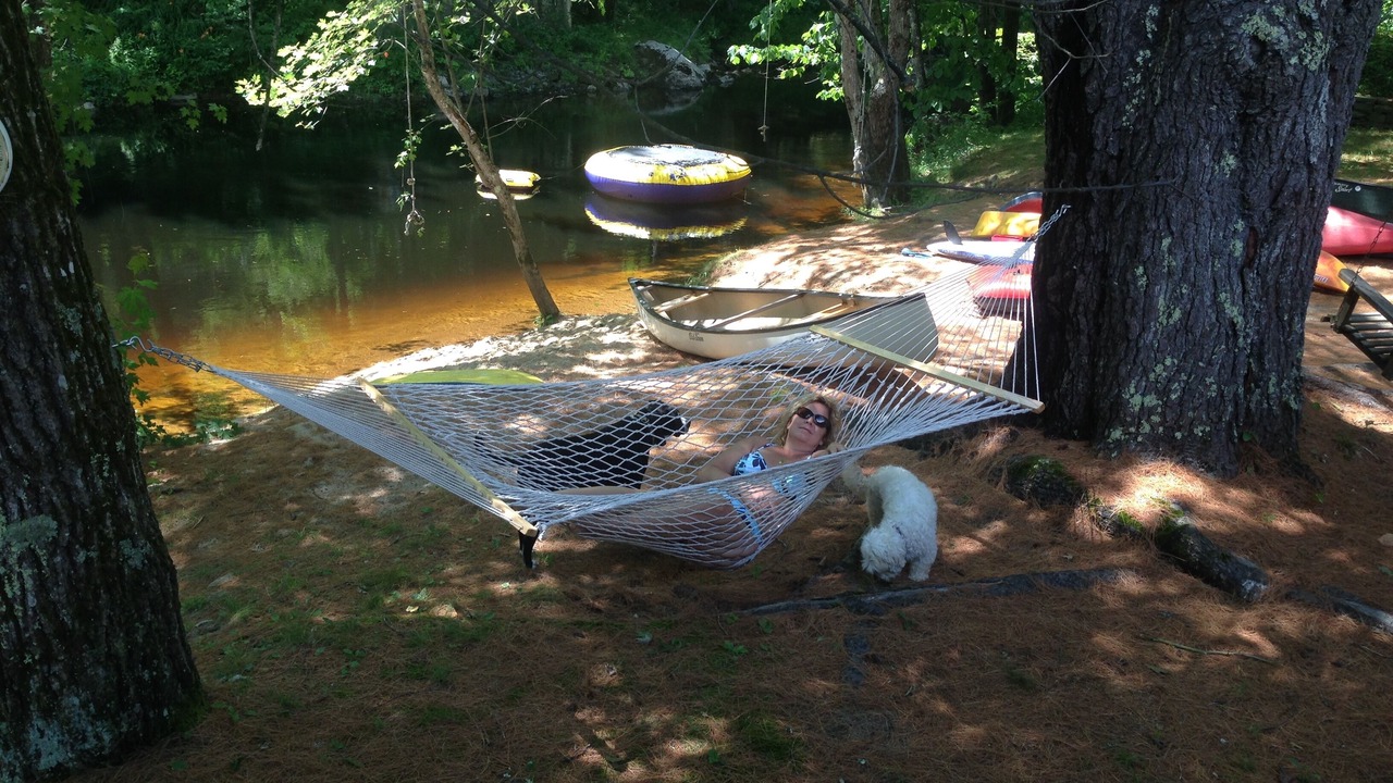 Photo of Others in West Ossipee