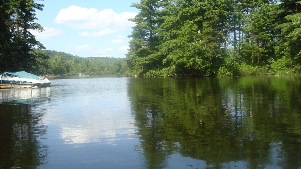 Photo of Outdoor in Washington