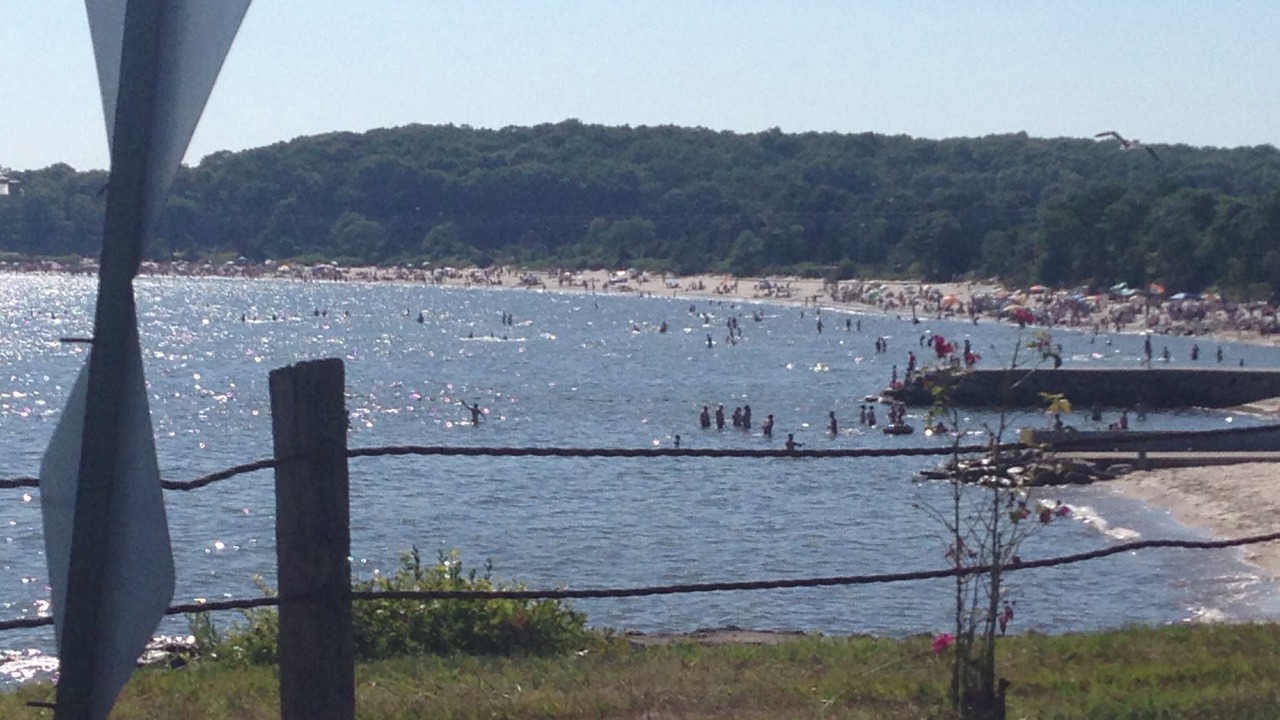 Photo of Others in Niantic