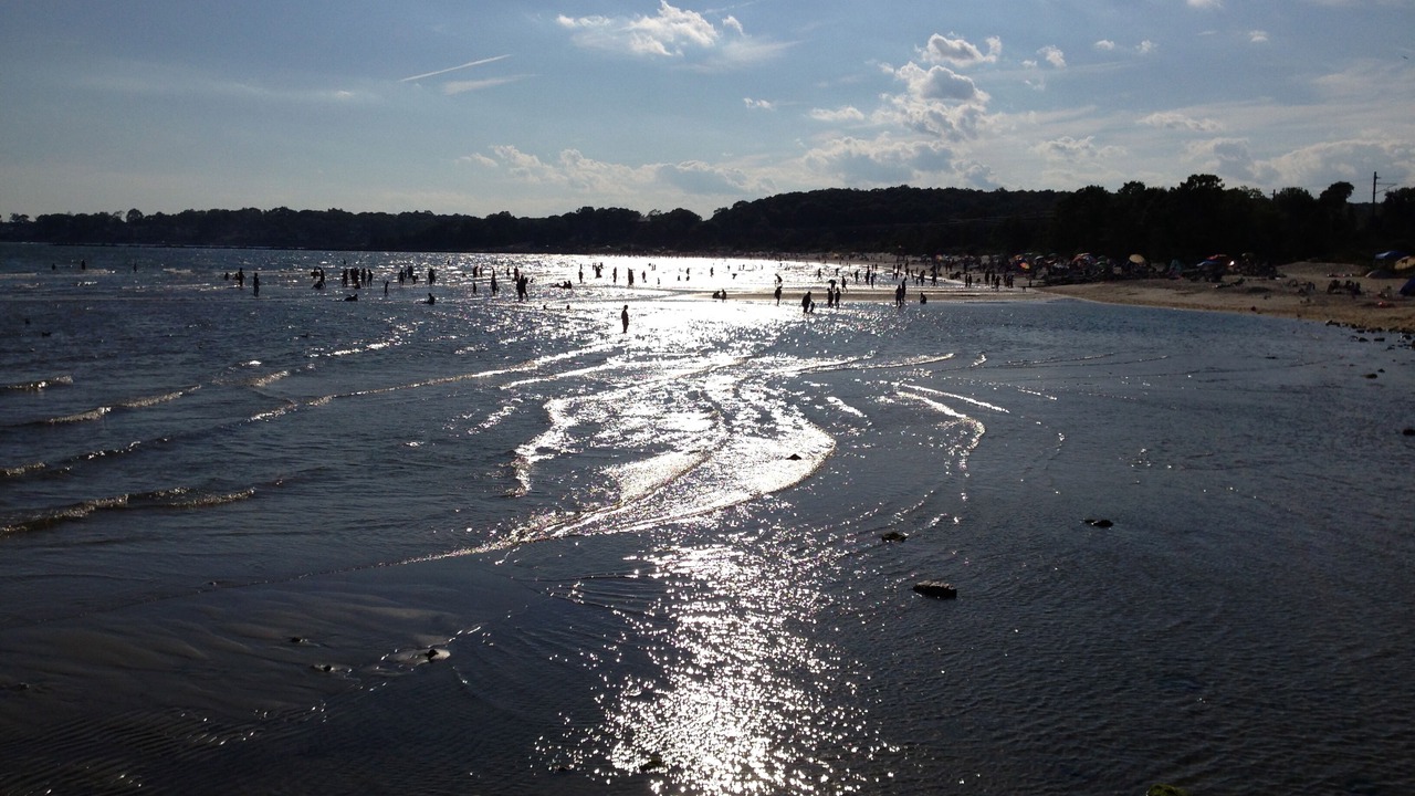 Photo of Others in Niantic