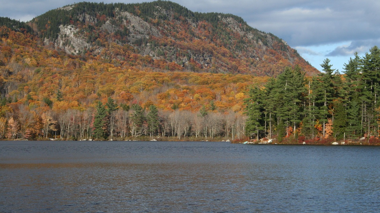 Photo of Others in Bryant Pond