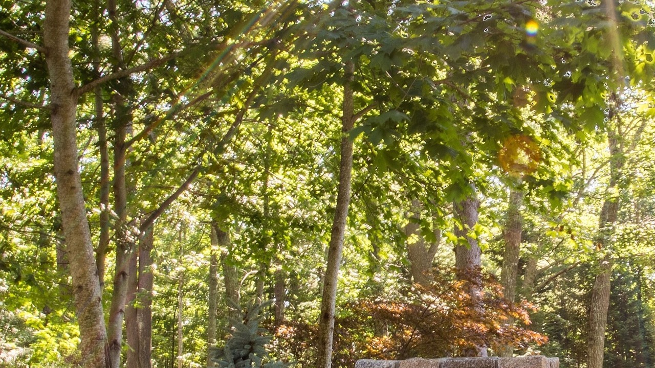 Photo of Outdoor in Hulls Cove