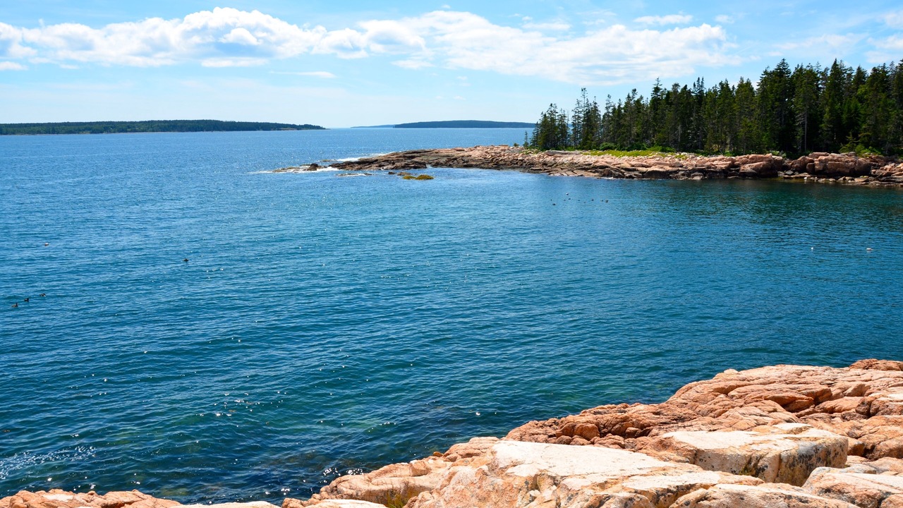 Photo of Others in Hulls Cove