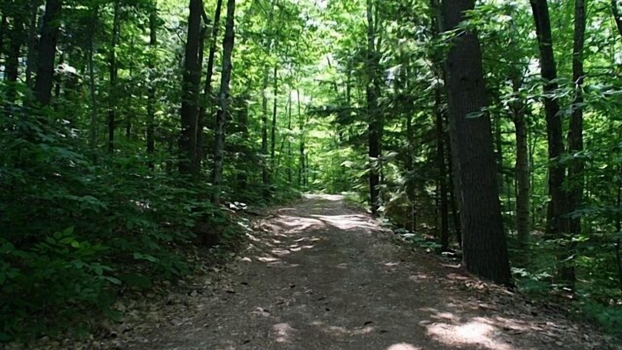 Photo of Outdoor in Alton