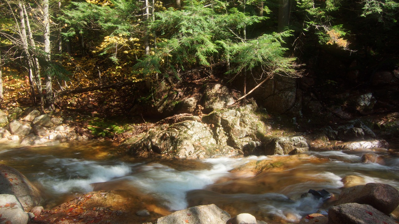 Photo of Others in Waterville Valley