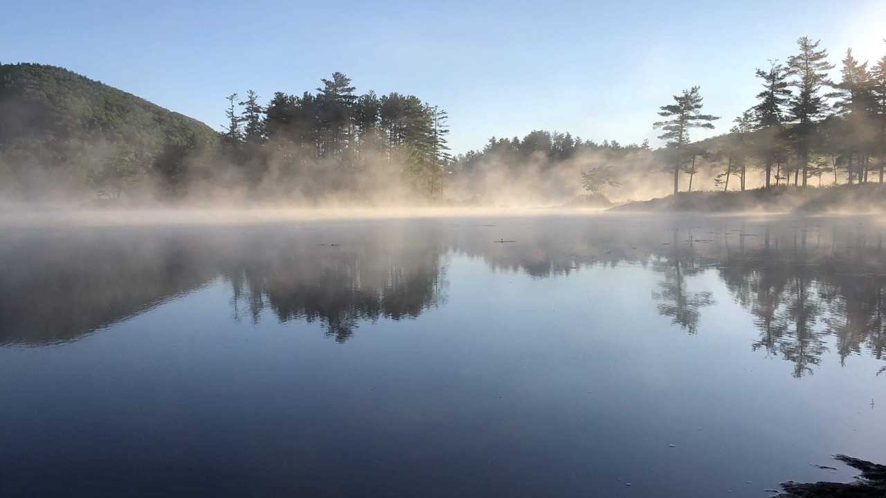 Photo of Others in Bryant Pond