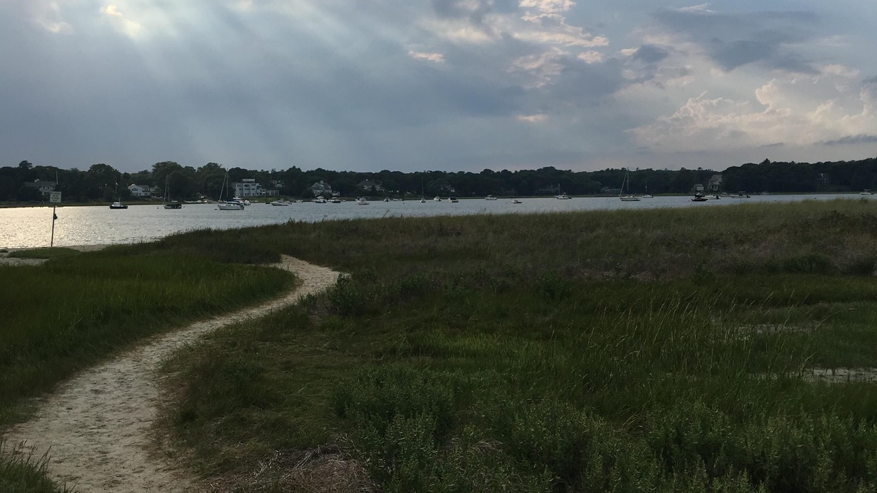 Photo of Others in Osterville