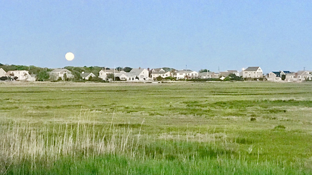 Photo of Others in West Yarmouth