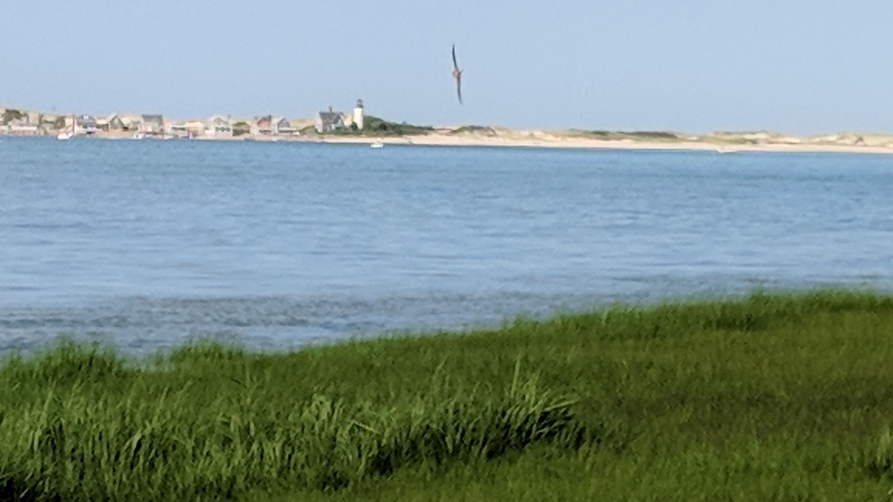Photo of Others in Barnstable