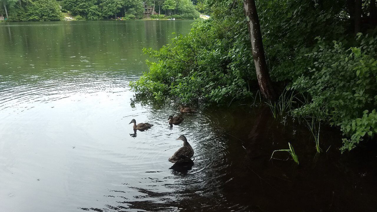 Photo of Others in Newbury