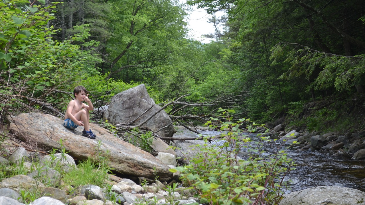 Photo of Others in Wardsboro