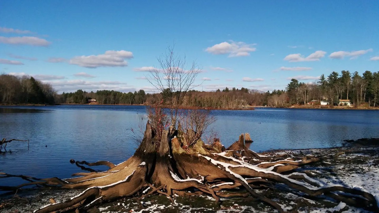 Photo of Outdoor in Smallwood