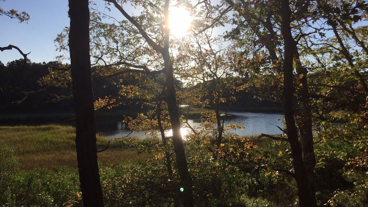 Photo of Others in South Dennis