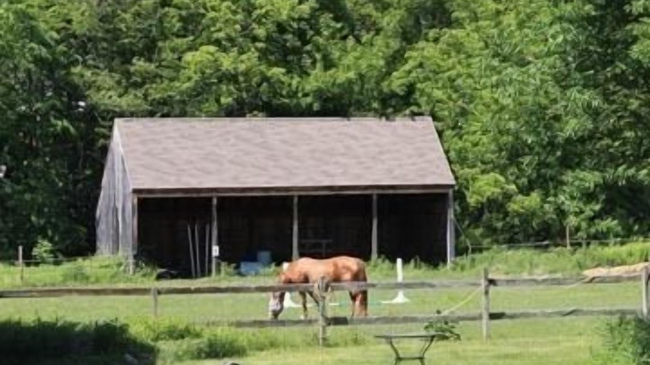 Photo of Others in New Marlborough