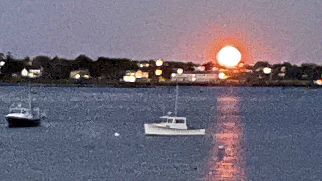 Photo of Others in Mid-Coast and Islands