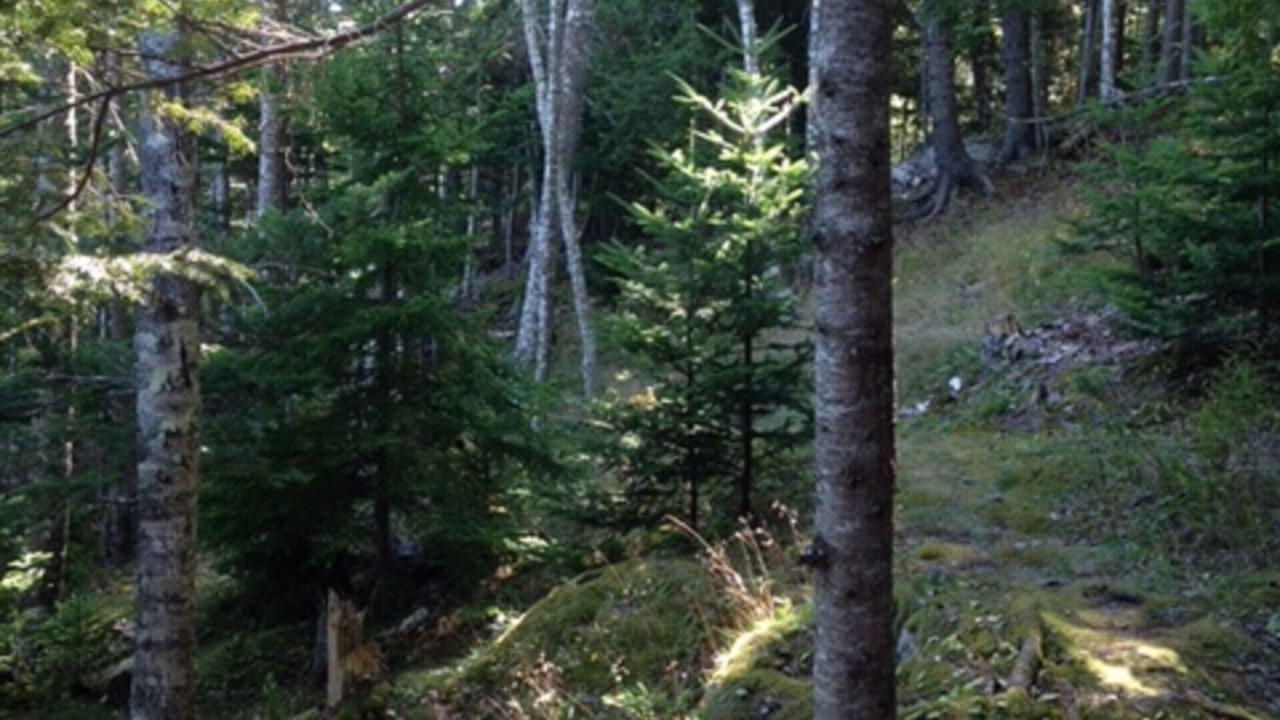 Photo of Outdoor in Islesboro