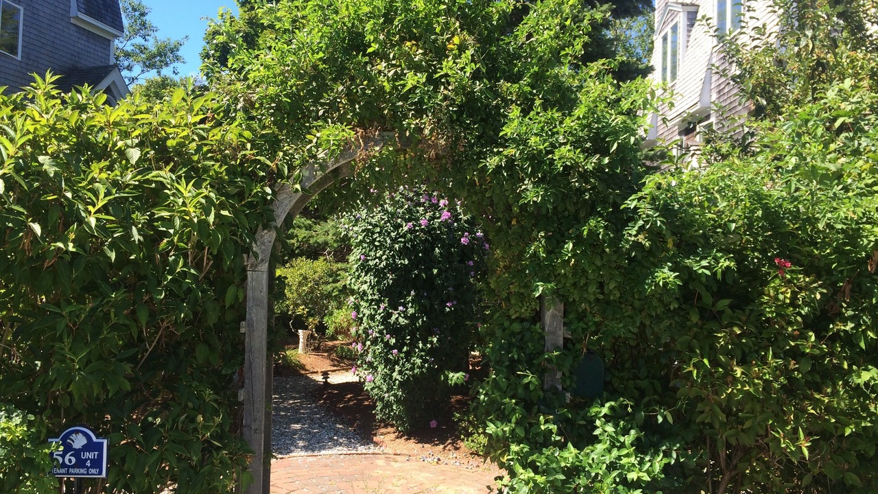 Photo of Outdoor in Provincetown