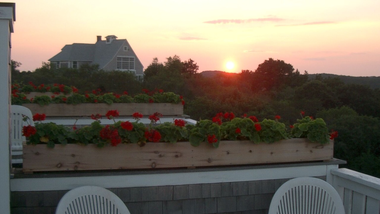 Photo of Others in Provincetown