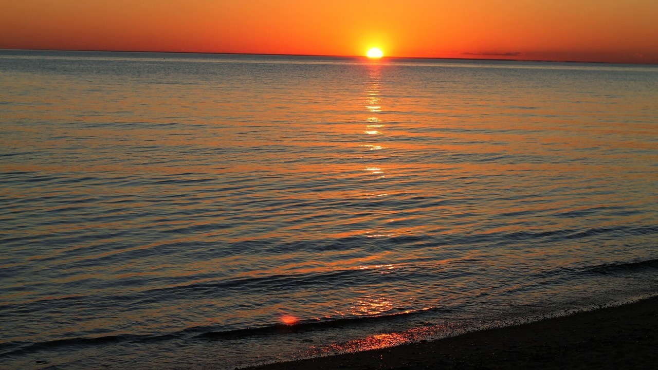 Photo of Others in Provincetown