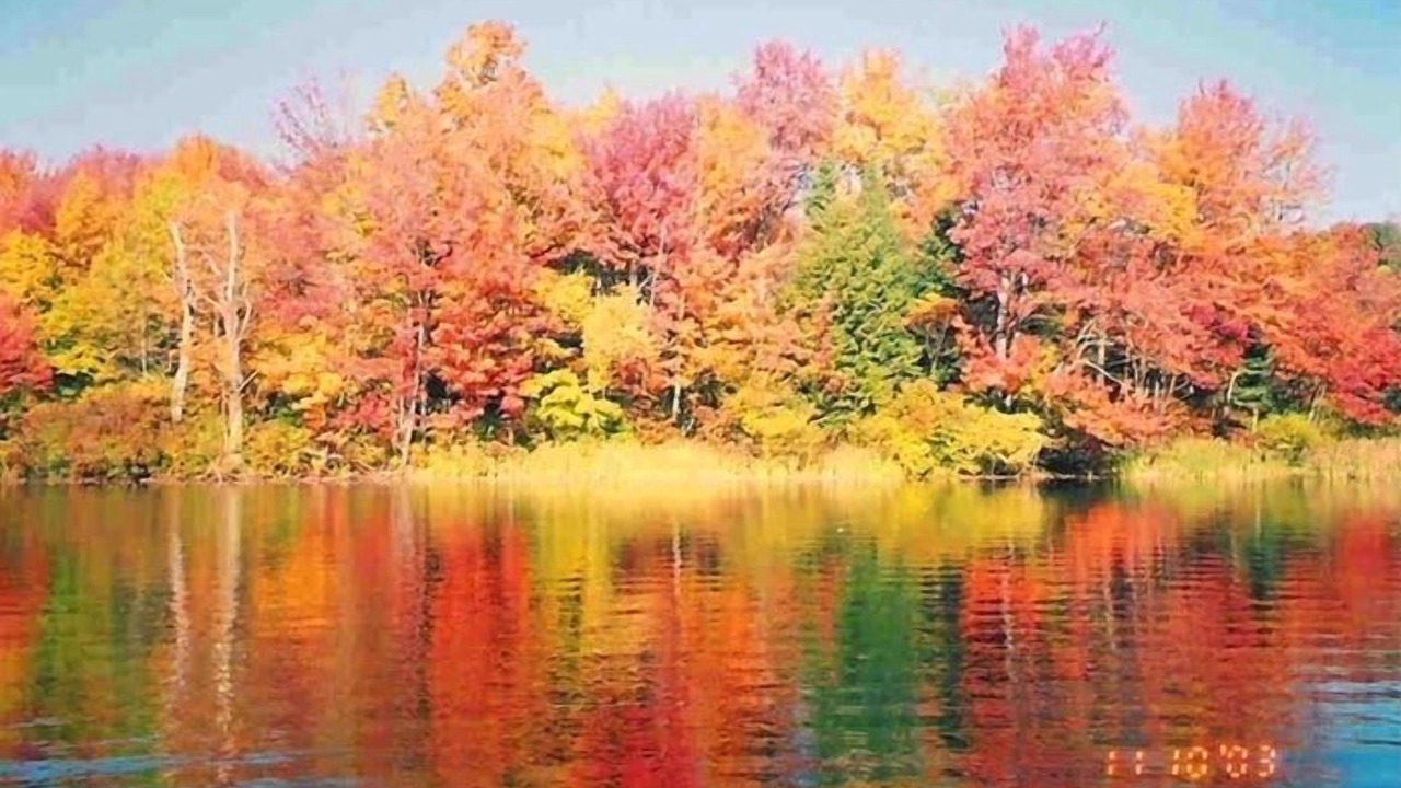 Photo of Outdoor in Hinsdale