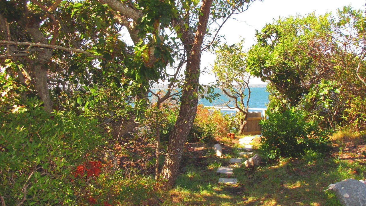 Photo of Others in Tisbury