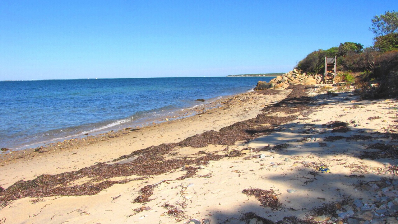 Photo of Others in Tisbury