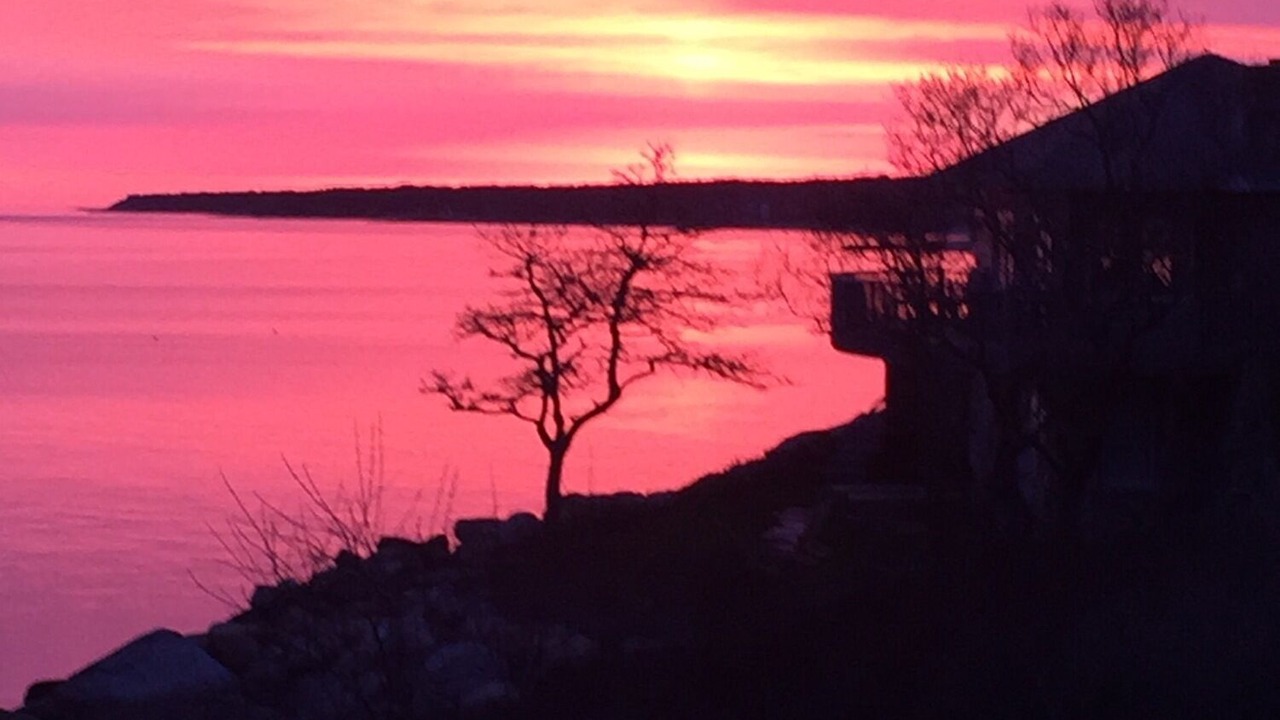 Photo of Others in Tisbury