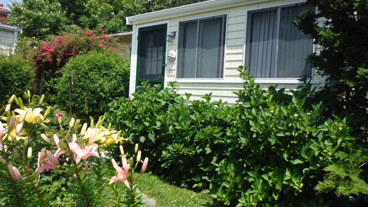 Photo of Outdoor in Newport East