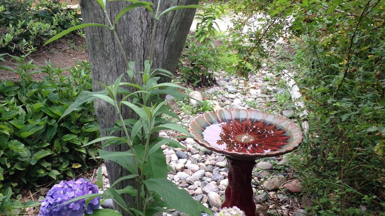 Photo of Outdoor in Newport East