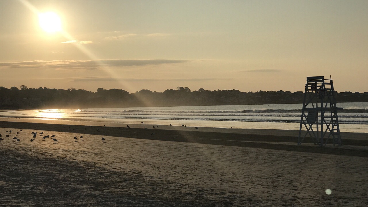 Photo of Others in Newport East