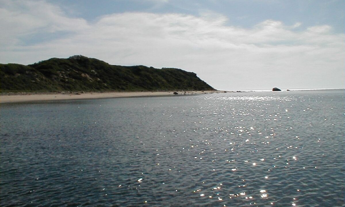 Photo of Others in Aquinnah