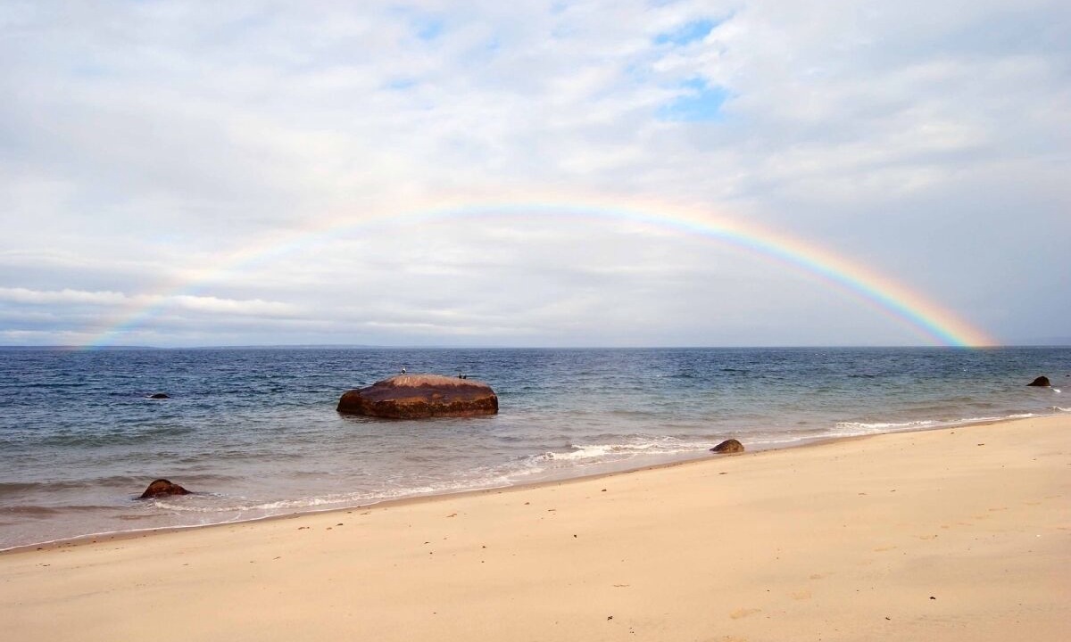 Photo of Others in Aquinnah