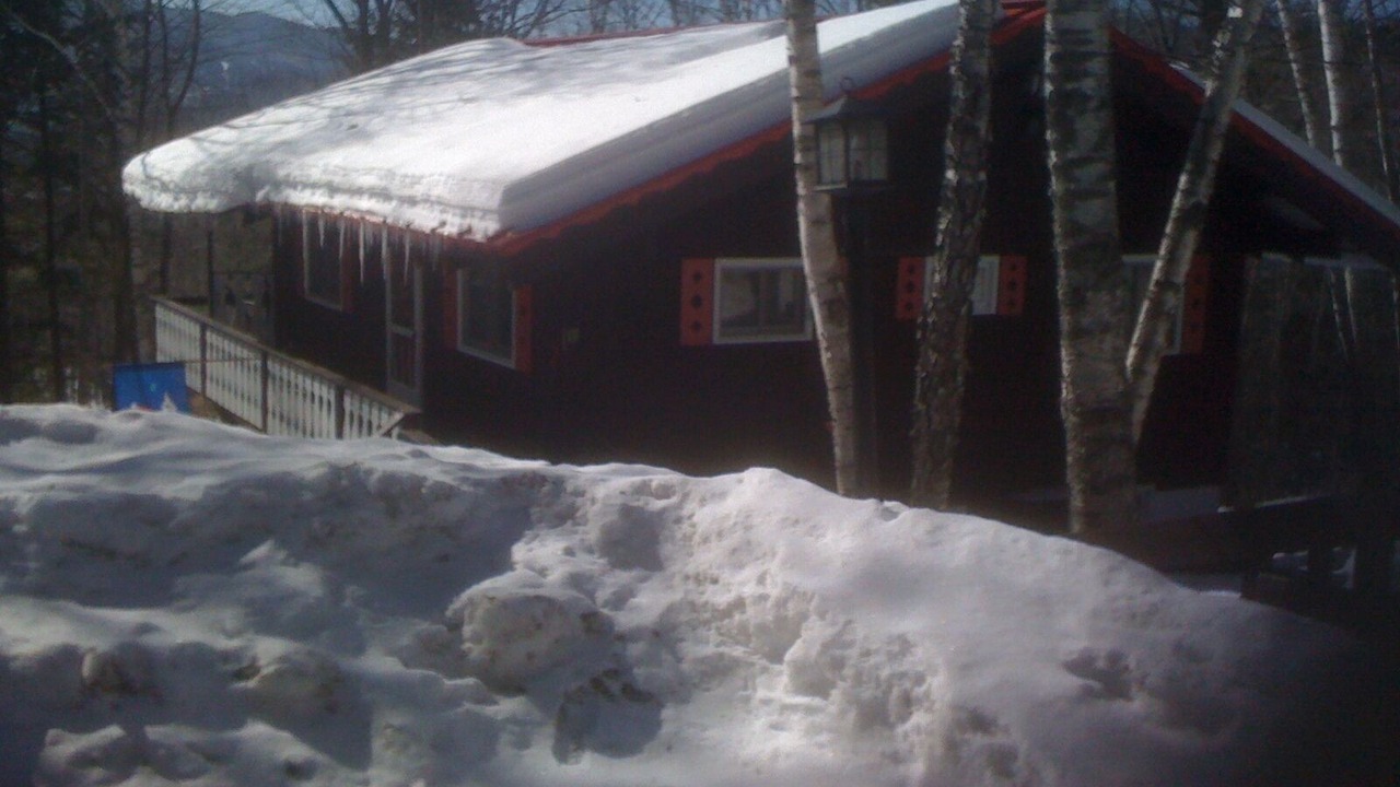 Photo of Others in Bartlett