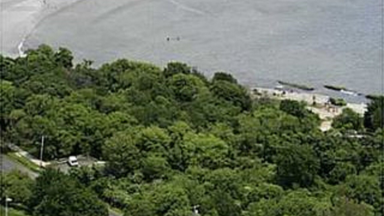 Photo of Others in Easton's Point