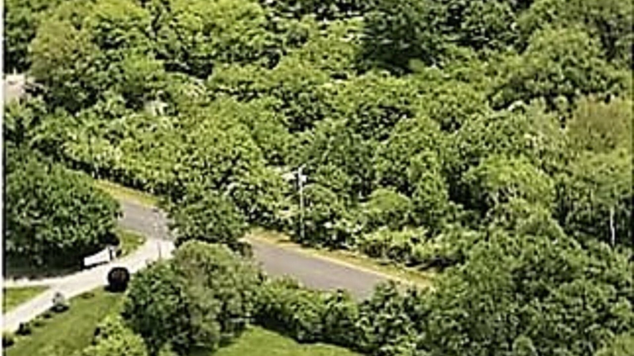 Photo of Outdoor in Easton's Point