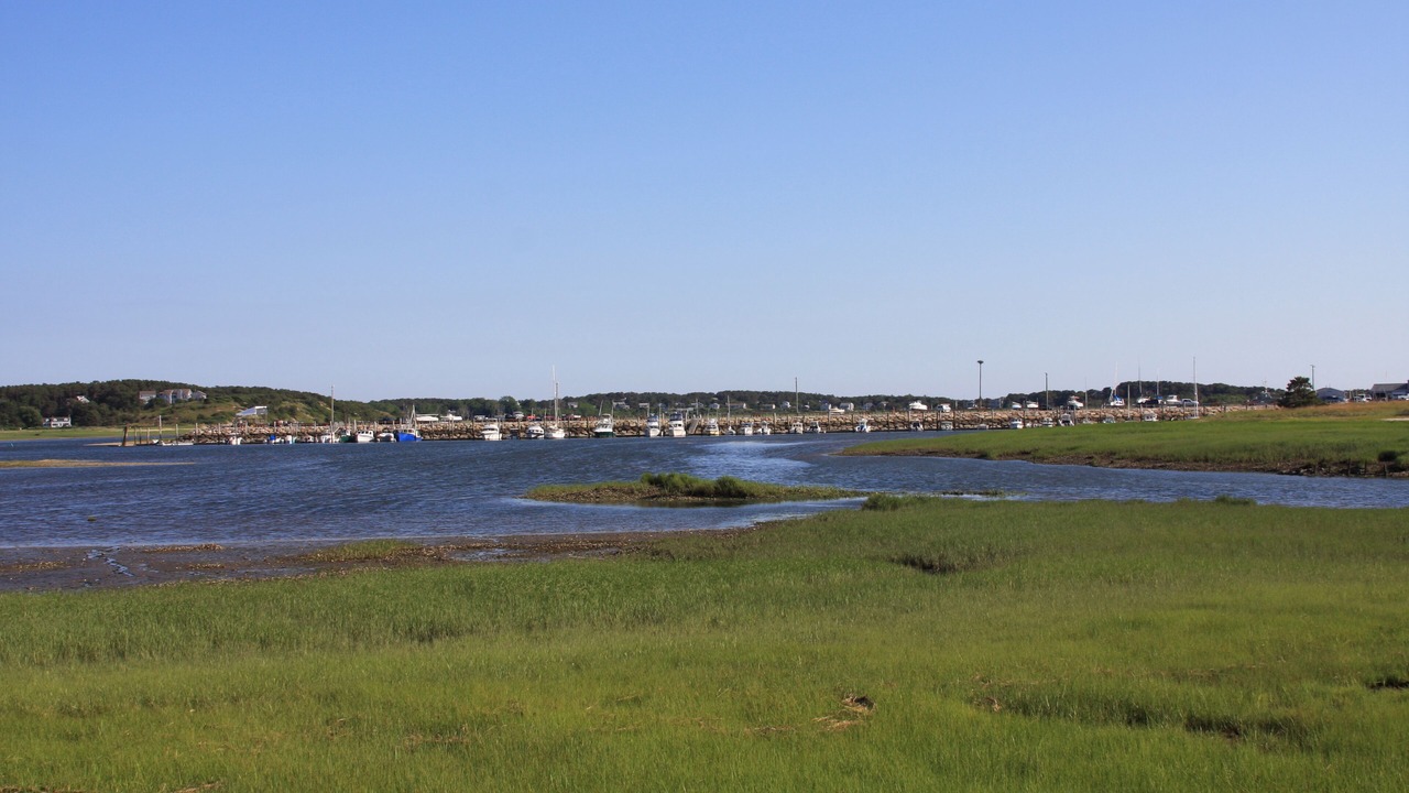 Photo of Others in Wellfleet