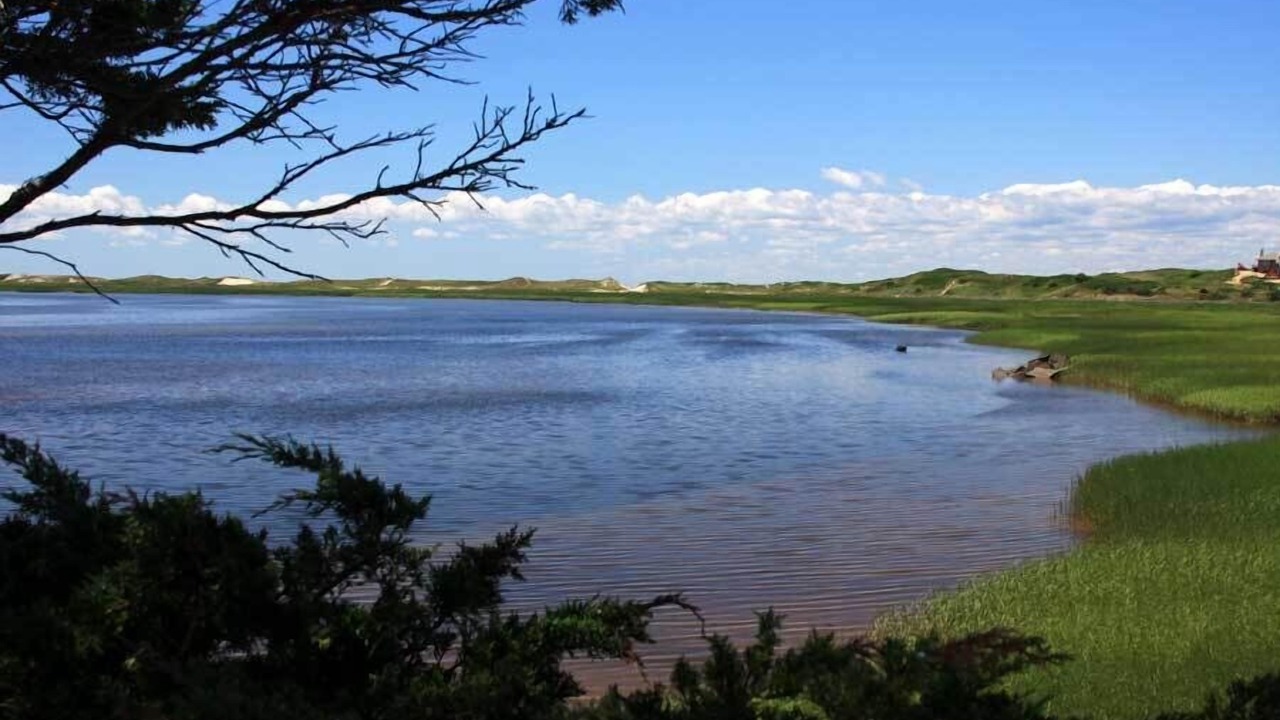 Photo of Others in Wellfleet
