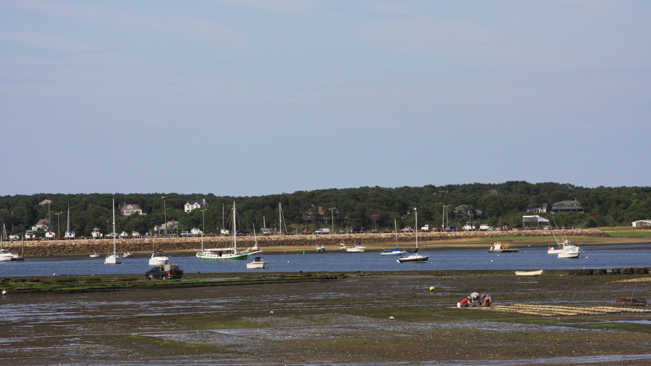 Photo of Others in Wellfleet